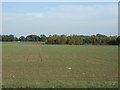 Farmland off the A162 in LS25 5AZ