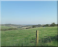Pasture beside Chute Causeway in SP11 9EX