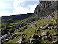 Steep slopes below The Storr in IV51 9HX