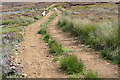 Path across Egton High Moor in YO22 5AZ