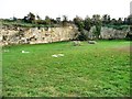 The former South Elmsall Quarry, now an SSSI in WF9 2XS