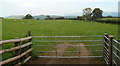 Sheep graze in a field adjacent to a lane junction south of Brecon in LD3 8LS