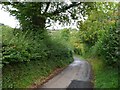 Country Lane near Blackrock in BS39 4JB