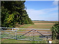 Field alongside Cuckoo Spinney in LE15 8BA