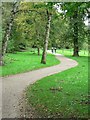 Path in Golden Acre Park in LS16 8BG