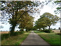 Hacconby Drove leading out to Hacconby Fen in Haconby