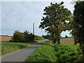 Lane east of Fring in Norfolk in Fring