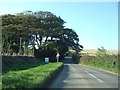 Road passing Woolston Farm entrance in TQ7 4RZ