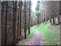 Green trail, Glentress in EH45 8NA