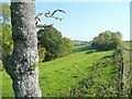 View towards Llanithog in HR2 8HE