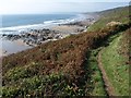 Coast path at Wiggle Sandway in PL10 1LL