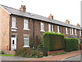 Severs Terrace, Callerton in Callerton & Throckley Ward