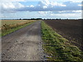 Track leading to Sycamore Farm on French Drove in PE6 0PH