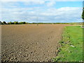 Ploughed field by Buttermilk Lane in GL2 9QL