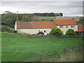 Lockwood Beck Farm next to the A171 in TS12 3HU