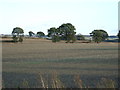 Farmland off Broad Lane in WF9 3FJ