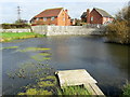 Pond behind Palm Drive, Carleton in FY6 7PP