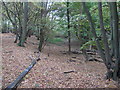 Hollow in Galleyhill Wood in EN9 2BS