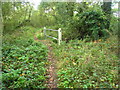 Footbridge over drainage ditch in RG27 9BF