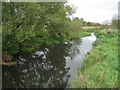 River Loddon (Wildmoor) in RG27 0HE