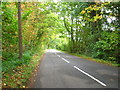 Ridge Lane near Tylney Park in RG27 9SY
