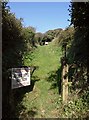 Footpath near Portwrinkle in PL11 3BY