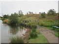 Footbridge for path around the southern edge of the lake at Eye Green LNR in PE6 7UB