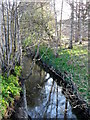 Meigle Burn near Kinloch in PH12 8TE