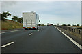 M11 - horses on the motorway in CB10 1SX