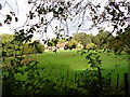 Woolhouse Farm in GU29 0QJ