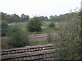 Railway and Allotments in DN3 1PT