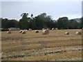 Hay bales, Arlary Farm in KY13 9SJ