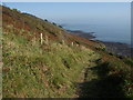 South West Coast Path above Keveral Beach in PL11 3JQ