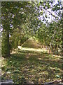 Bridleway to Keepers Cottage & Felixstowe Road in IP10 0ED