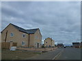 New housing on Albert Way, Chatteris in PE16 6QZ