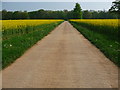 Amport - Road To The Silo in SP11 8JE