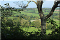 2011 : Scene through a hedgerow on Stoodly Lane in BA4 4AG