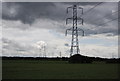 Pylons, Orsett Fen in RM16 3AN