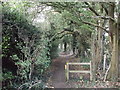 Path in Rushfield Shaw in CR0 0HL