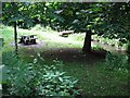 Picnic table,  Tollcross Park in G32 8PL