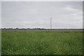 Pylon in oil seed rape in RM16 3NL