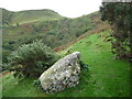 Old boulder beside the path up to Cefn Coch in Penmaenmawr Community