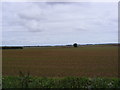 Fields at Redhouse Farm in Falkenham