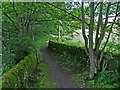 Footpath alongside the River Wear in DL13 1HD