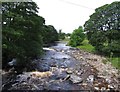 River Wear upstream from Ponderlane Bridge in DL13 1RQ