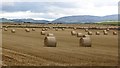 Round bales, Meikle Coul in DD8 3SN
