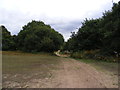 Braziers Meadow Path in IP3 0SG