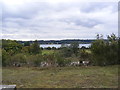 Braziers Meadow, Orwell Country Park & the River Orwell in IP3 0SG