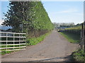 Farm track off Selling Road in ME13 9SF