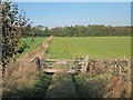 Field gate at Landew's Farm in TN25 4DL
